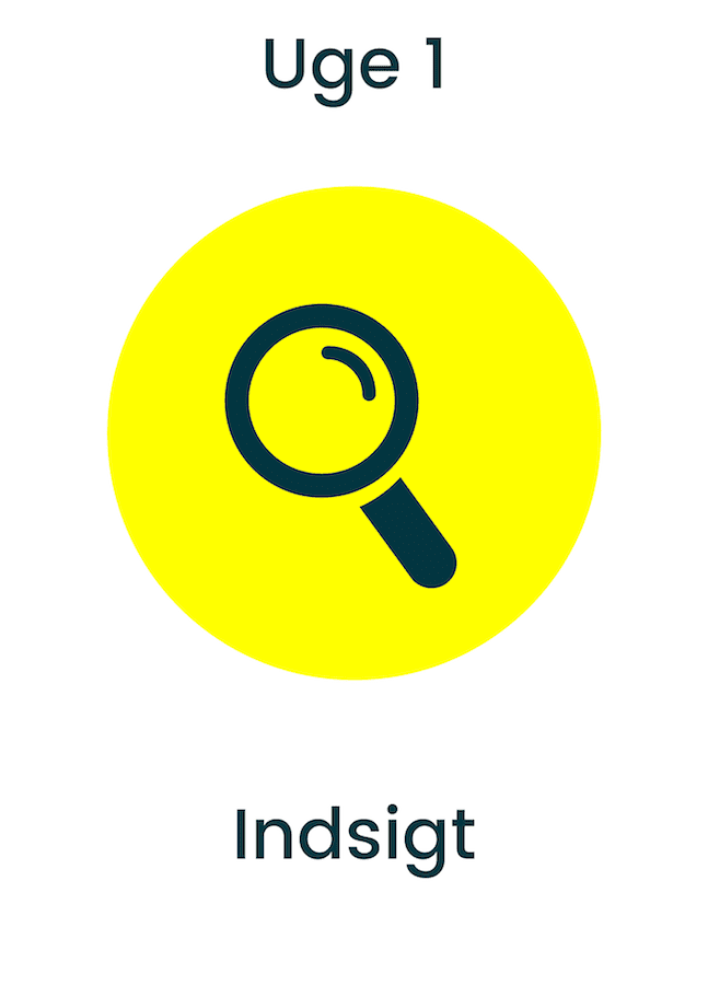 uge 1 indsigt